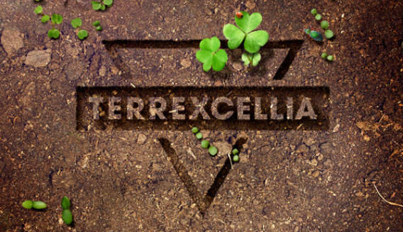 Terrexcellia-support-de-culture