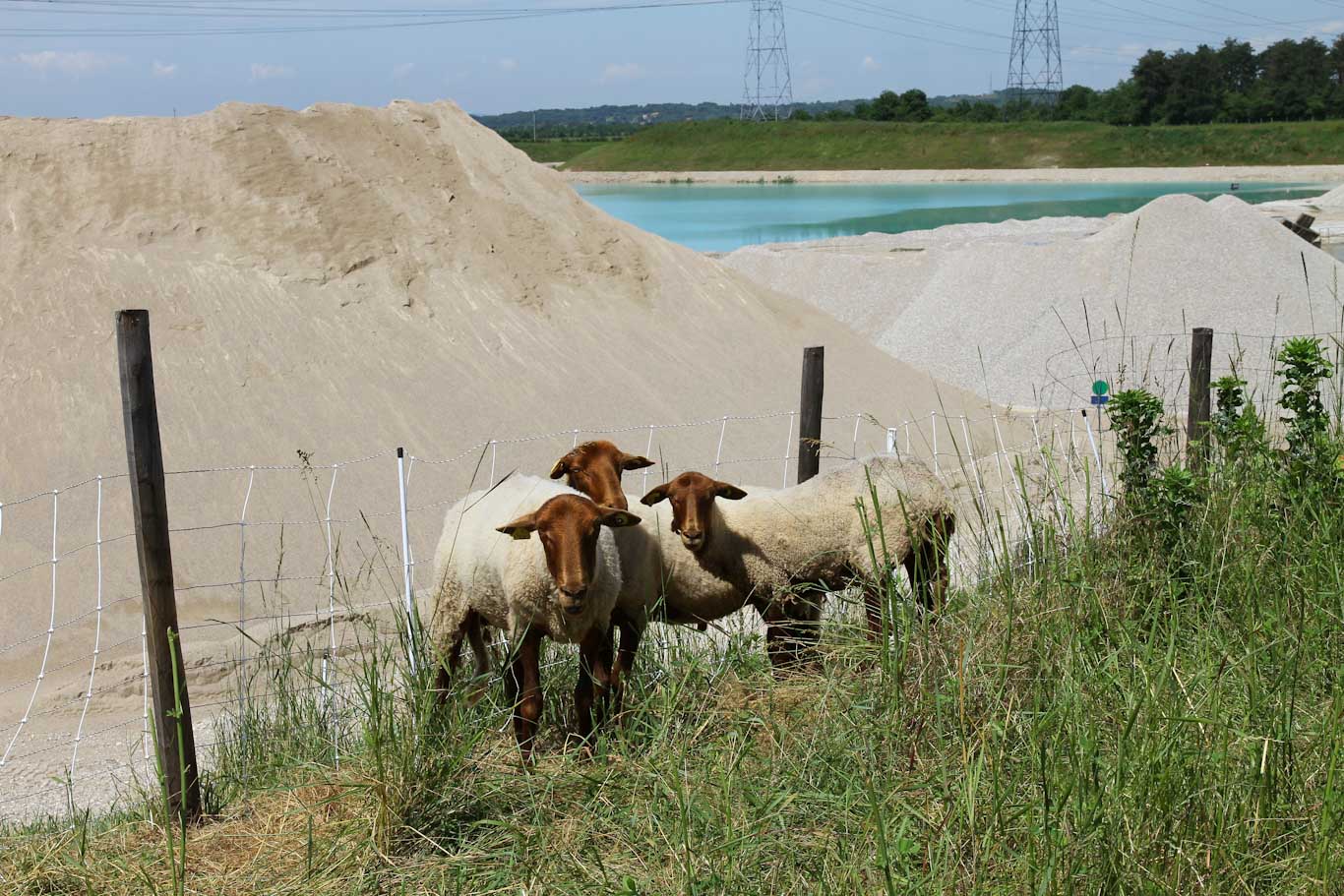 Biodiversité sur la carrière de Pérouges