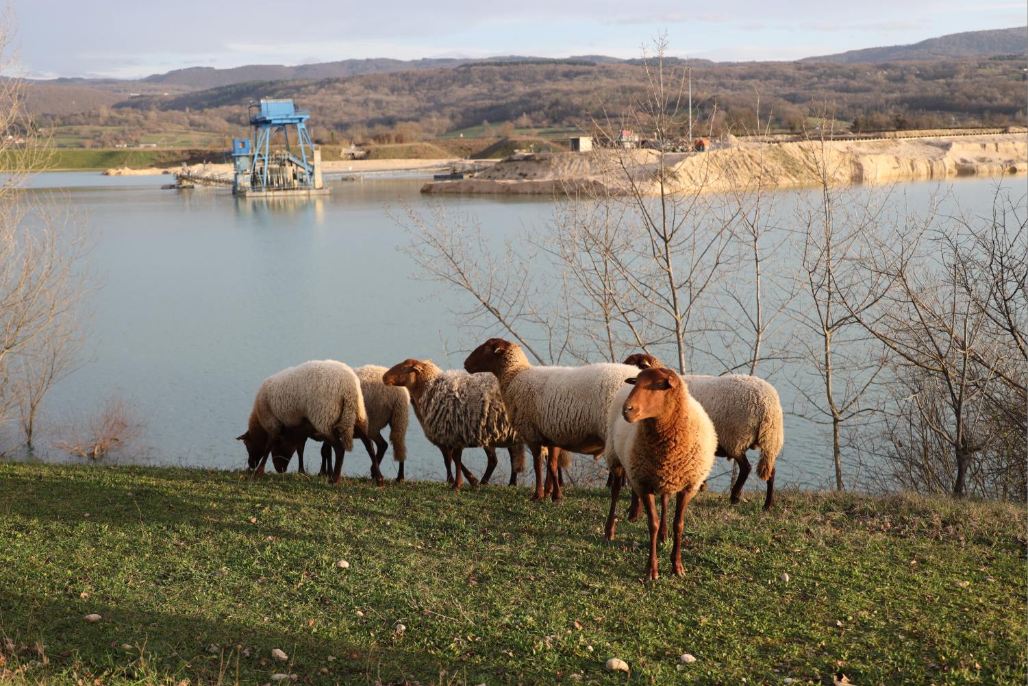 Intégration local et réhabilitation