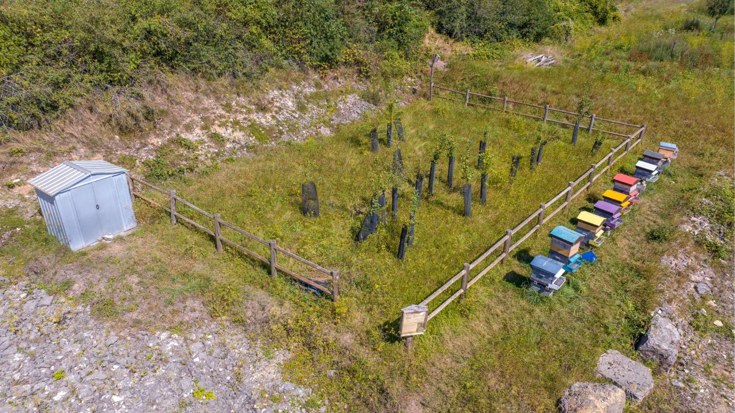 Vergers et ruches sur un site d'exploitation