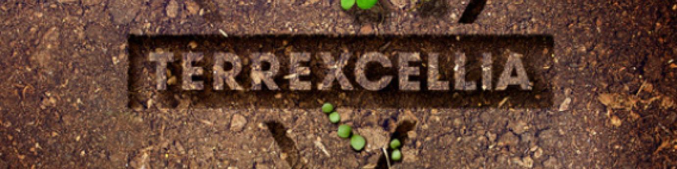 Terrexcellia-support-de-culture