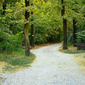Empierrement de chemin avec gravillons