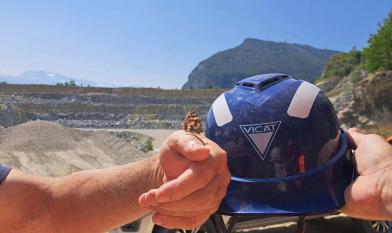 Collaborateur Vicat et la biodiversité