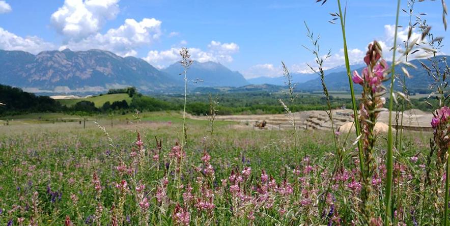 Carriere-de-barraux-reamenagement-vicat